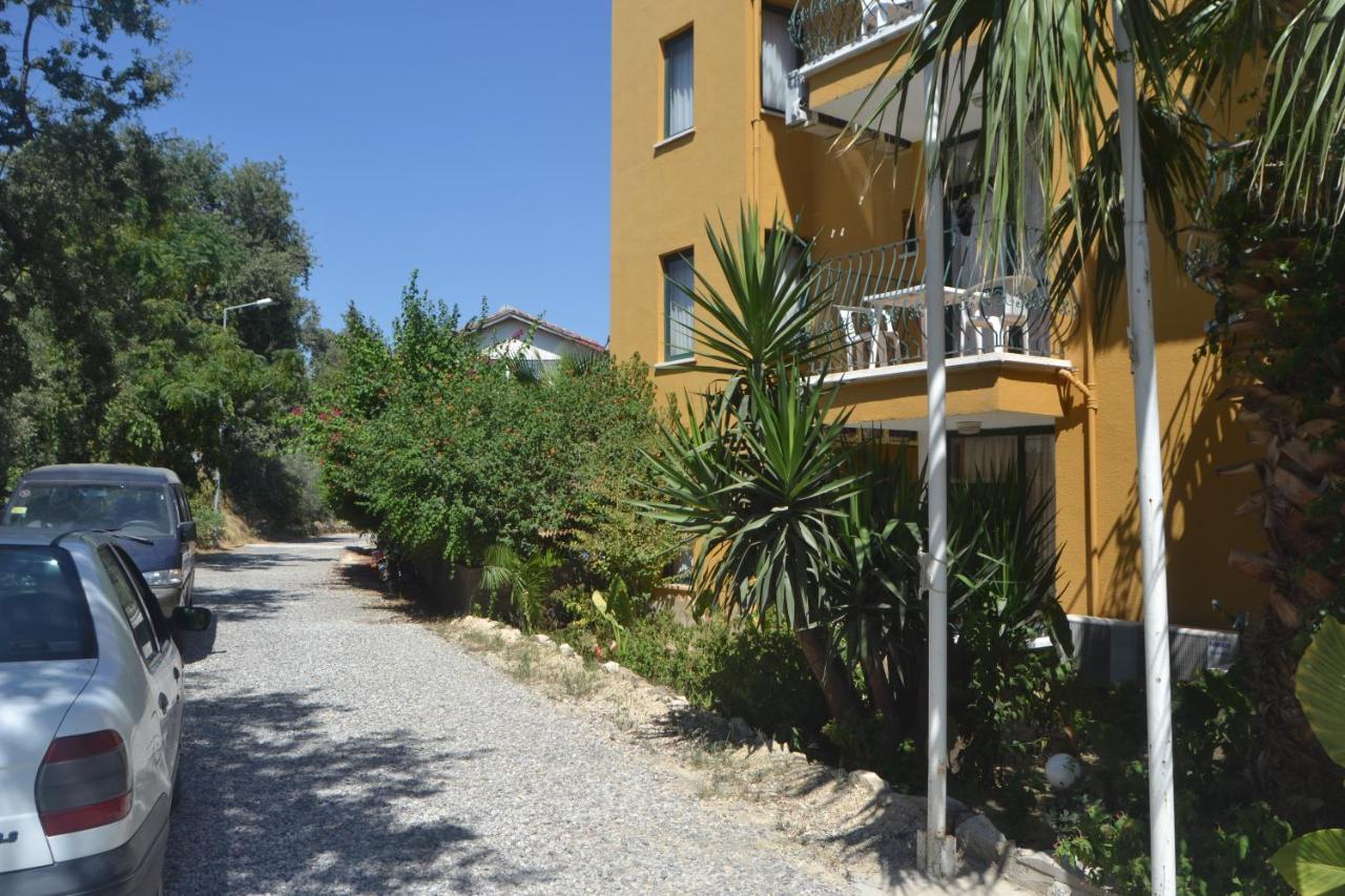 Begonville 3*
